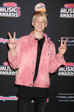 Los Angeles - 22 Haziran: Carson Lueders üzerinde 22 Haziran 2018 Loews Hotel Los Angeles, Ca 2018 radyo Disney Müzik Ödülleri'nde