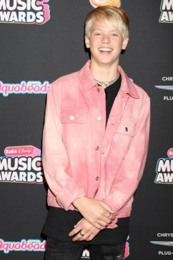 Los Angeles - 22 Haziran: Carson Lueders üzerinde 22 Haziran 2018 Loews Hotel Los Angeles, Ca 2018 radyo Disney Müzik Ödülleri'nde