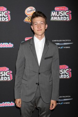 Los Angeles - 22 Haziran: Luke Mullen üzerinde 22 Haziran 2018 Loews Hotel Los Angeles, Ca 2018 radyo Disney Müzik Ödülleri'nde