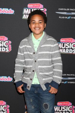 Los Angeles - 22 Haziran: Maeco Smedley üzerinde 22 Haziran 2018 Loews Hotel Los Angeles, Ca 2018 radyo Disney Müzik Ödülleri'nde