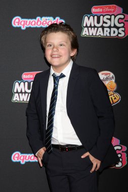 Los Angeles - 22 Haziran: Maxwell Simkins üzerinde 22 Haziran 2018 Loews Hotel Los Angeles, Ca 2018 radyo Disney Müzik Ödülleri'nde