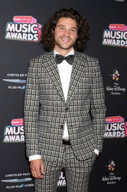 Los Angeles - 22 Haziran: Trent Garrett üzerinde 22 Haziran 2018 Loews Hotel Los Angeles, Ca 2018 radyo Disney Müzik Ödülleri'nde