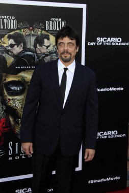Los Angeles - Haziran 26: Benicio del Toro, 