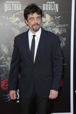 Los Angeles - Haziran 26: Benicio del Toro, 