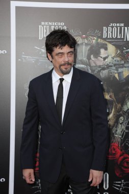 Los Angeles - Haziran 26: Benicio del Toro, 