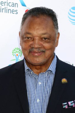 Los Angeles - Temmuz 14: Jesse Jackson Jr üzerinde 14 Temmuz 2018 Malibu, Ca özel arazide 20 yıllık Designcare Gala
