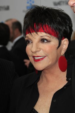 Las Vegas - Mar 12: Liza Minnelli, Tcm Klasik Film Festivali - 40 Anniv 
