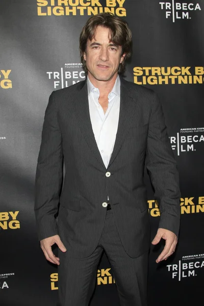 Los Angeles Jan Dermot Mulroney Struck Lightening Premiere Cinema Chinês — Fotografia de Stock