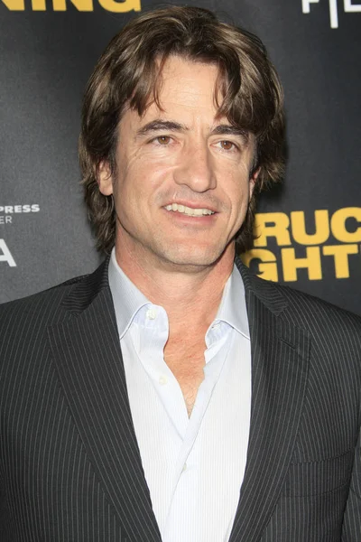 Los Angeles Jan Dermot Mulroney Struck Lightening Premiere Chinese Cinema — Stock Photo, Image