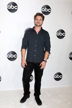 Los Angeles - Ağustos 7: Beverly Hills, Ca üzerinde 7 Ağustos 2018 Beverly Hilton Hotel, gri Damon Abc Tca parti - yaz 2018