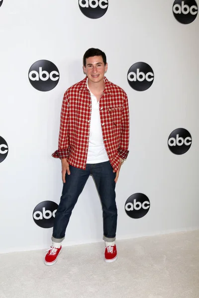 Los Angeles Aug Sam Lerner Abc Tca Party Zomer 2018 — Stockfoto