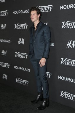 Los Angeles - Ağustos 28: Shawn Mendes Sunset Tower Hotel Los Angeles, Ca üzerinde 28 Ağustos 2018 genç Hollywood partide çeşitli'nın gücü