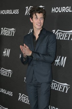 LOS ANGELES - AUG 28:  Shawn Mendes at the Variety's Power of Young Hollywood Party at the Sunset Tower Hotel on August 28, 2018 in Los Angeles, CA
