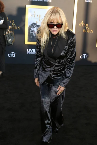 Los Angeles - 24 Eylül: Rosanna Arquette, Los Angeles, Ca üzerinde 24 Eylül 2018 tapınak salonunda 