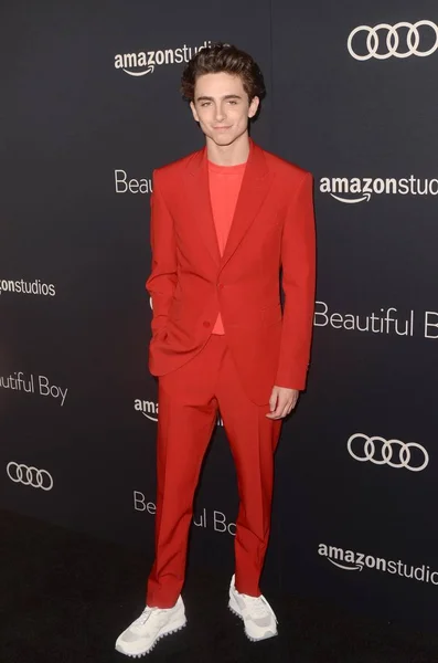 Los Ángeles Octubre Timothee Chalamet Estreno Beautiful Boy Samuel Goldwyn — Foto de Stock