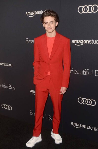 LOS ANGELES - OCT 8:  Timothee Chalamet at the "Beautiful Boy" Premiere at the Samuel Goldwyn Theater on October 8, 2018 in Beverly Hills, CA