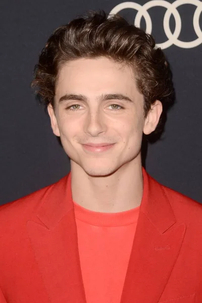 Los Angeles Ottobre Timothee Chalamet Alla Prima Beautiful Boy Samuel — Foto Stock