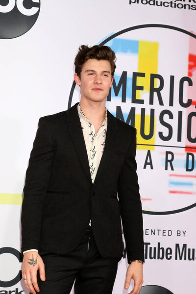 LOS ANGELES - OCT 9:  Shawn Mendes at the 2018 American Music Awards at the Microsoft Theater on October 9, 2018 in Los Angeles, CA