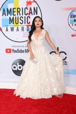 Los Angeles - Ekim 9: Tina Guo 2018, Amerikan müzik Microsoft tiyatroda 9 Ekim 2018 Los Angeles, Ca Ödülleri