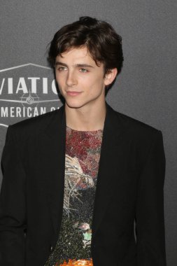 Los Angeles - Kasım 4: Timothee Chalamet üzerinde 4 Kasım 2018 Beverly Hilton otel Beverly Hills, Ca, Hollywood Film Ödüllerinde 2018