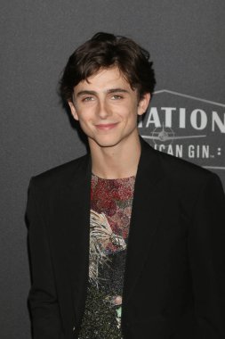Los Angeles - Kasım 4: Timothee Chalamet üzerinde 4 Kasım 2018 Beverly Hilton otel Beverly Hills, Ca, Hollywood Film Ödüllerinde 2018