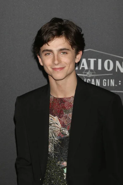 Los Angeles Lis Timothee Chalamet Hollywood Film Awards 2018 Beverly — Zdjęcie stockowe