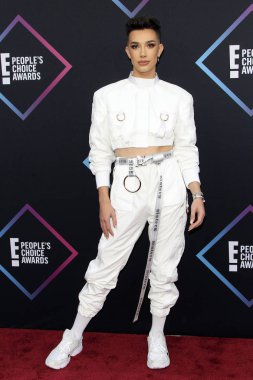 Los Angeles - Kasım 11: James Charles adlı 11 Kasım 2018 Barker askıda Santa Monica, Ca, People's Choice Ödülleri 2018