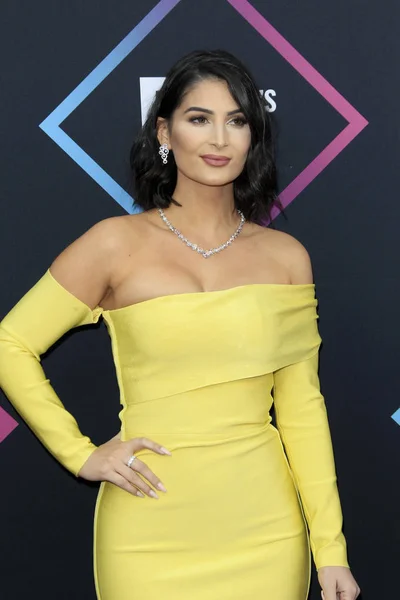 Los Ángeles Nov Lufy Los People Choice Awards 2018 Barker — Foto de Stock