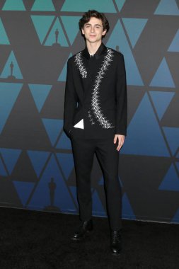 Los Angeles - Kasım 18: Timothee Chalamet 10 yıllık valiler Ödülleri Los Angeles, Ca üzerinde 18 Kasım 2018 Ray Dolby Ballroom