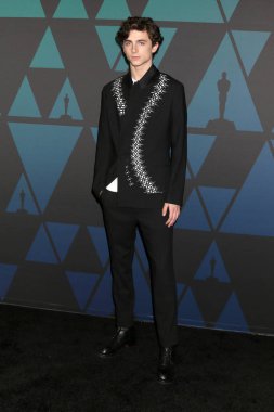 Los Angeles - Kasım 18: Timothee Chalamet 10 yıllık valiler Ödülleri Los Angeles, Ca üzerinde 18 Kasım 2018 Ray Dolby Ballroom