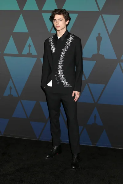 Los Angeles Kasım Timothee Chalamet Yıllık Valiler Ödülleri Los Angeles — Stok fotoğraf