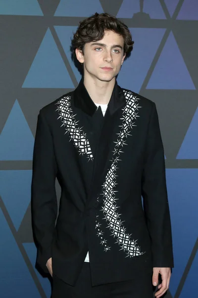 Λος Άντζελες Νοε Timothee Chalamet 10Η Ετήσια Βραβεία Διοικητών Στο — Φωτογραφία Αρχείου