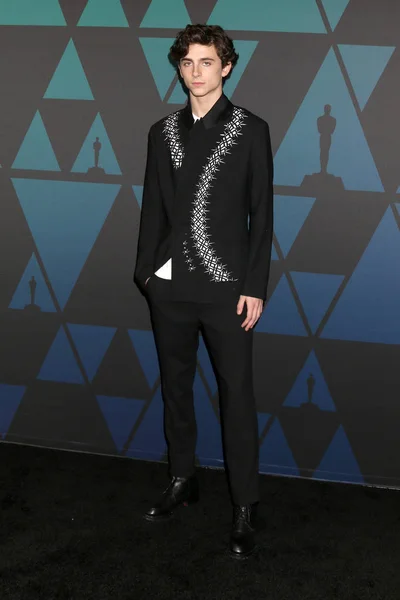 Los Angeles Nov Timothee Chalamet 10Th Annual Governors Awards Ray — Stock Photo, Image