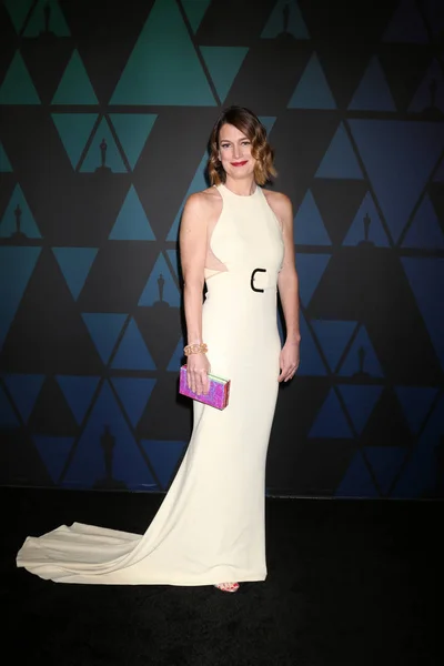 Los Angeles Kasım Gillian Flynn Yıllık Valiler Ödülleri Los Angeles — Stok fotoğraf