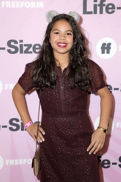 Los Angeles Nov Alison Fernandez Première Van Life Size Screening — Stockfoto