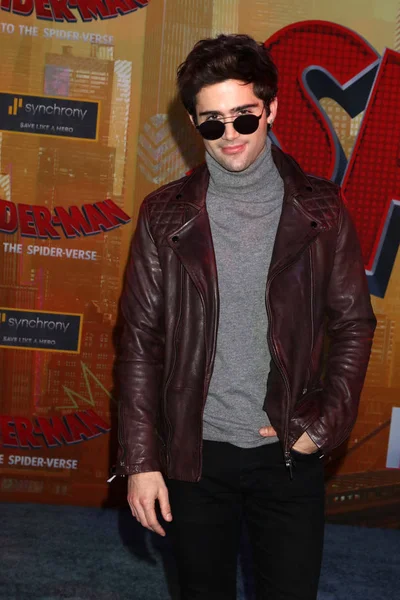 Los Angeles Dec Max Ehrlich Spider Man Spider Vers Premiere — Stockfoto