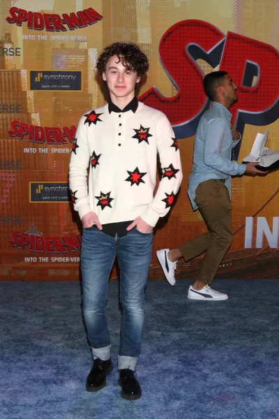 Los Angeles Dec Wyatt Oleff Spider Man Spider Vers Premiere — Stockfoto