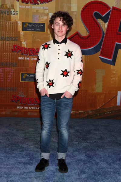 Los Angeles Dec Wyatt Oleff Spider Man Spider Vers Premiere — Stockfoto