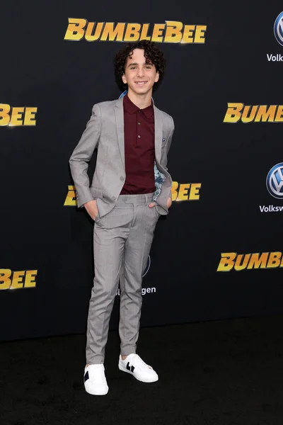 Los Ángeles Dic Jason Drucker Estreno Mundial Bumblebee Tcl Chinese — Foto de Stock