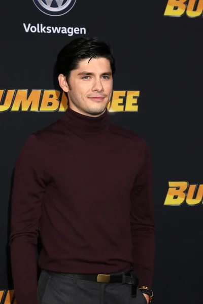 Los Angeles Dec Ricardo Hoyos Vid Humla Världspremiären Tcl Chinese — Stockfoto