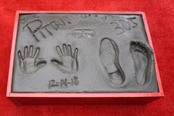 Los Angeles Dec Pitbull Handprints Pitbull Hand Footprint Ceremony Tcl — Stock Photo, Image