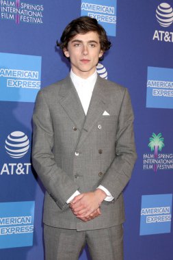 Palm Springs - Jan 17: Palm Springs Kongre Merkezi'nde üzerinde 17 Ocak 2019 Palm Springs, Ca 30 Palm Springs Uluslararası Film Festivali Ödülleri Töreni'nde Timothee Chalamet