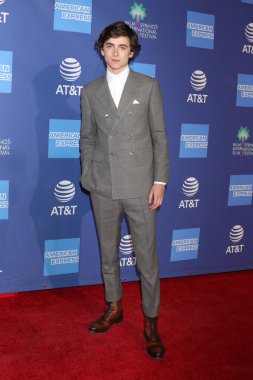 Palm Springs - Jan 17: Palm Springs Kongre Merkezi'nde üzerinde 17 Ocak 2019 Palm Springs, Ca 30 Palm Springs Uluslararası Film Festivali Ödülleri Töreni'nde Timothee Chalamet