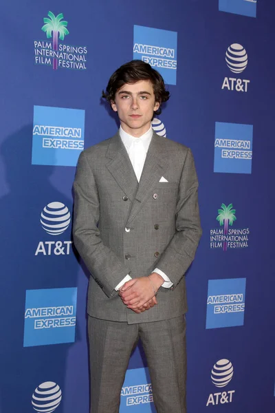 Palm Springs Januar 2019 Timothee Chalamet Bei Der Preisgala Des — Stockfoto