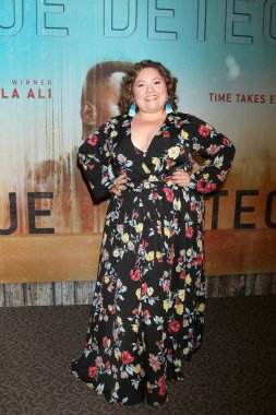 Los Angeles - Ocak 10: Emily Nelson Amerika yönetim Guild 10 Ocak 2019 Los Angeles, Ca Eleme 