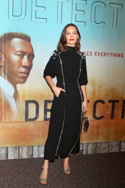 Los Angeles - Ocak 10: Jodi Balfour, Amerika yönetim Guild 10 Ocak 2019 Los Angeles, Ca Eleme 