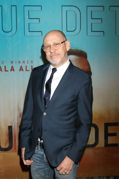 Los Angeles Jan Daniel Sackheim True Detective Season Premiere Screening — Stock Photo, Image