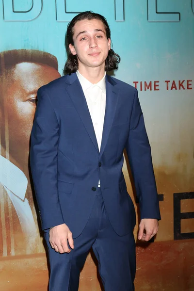 Los Angeles Jan Richard Meehan Bei Der Premiere Von True — Stockfoto