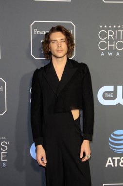 Los Angeles - 13 Ocak: Cody Fern 13 Ocak 2019 Barker askıda Santa Monica, Ca, eleştirmenler Choice Ödülleri'nde