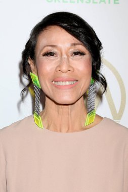 Los Angeles - 19 Ocak: Tan Kheng Hua 2019, üreticileri Guild Beverly Hilton otelinde 19 Ocak 2019 Beverly Hills, Ca Ödülleri